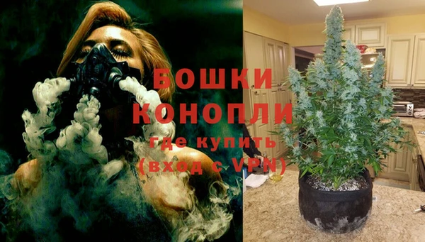 твердый Богородск