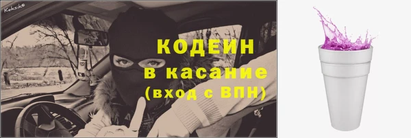 хмурый Белокуриха