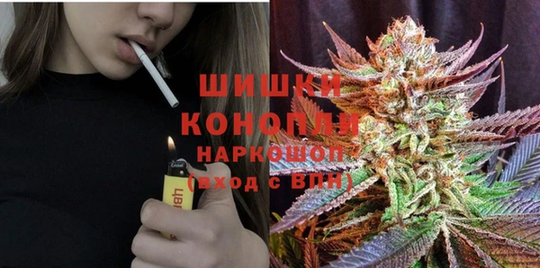 хмурый Белокуриха