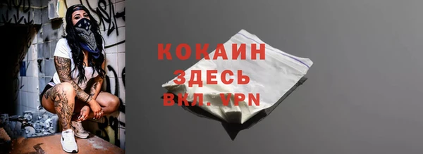 хмурый Белокуриха