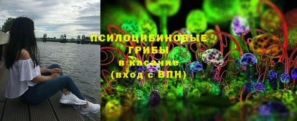 бошки Богородицк