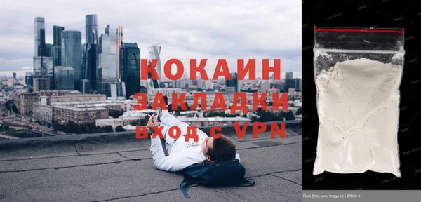 хмурый Белокуриха