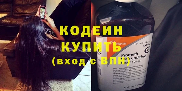хмурый Белокуриха